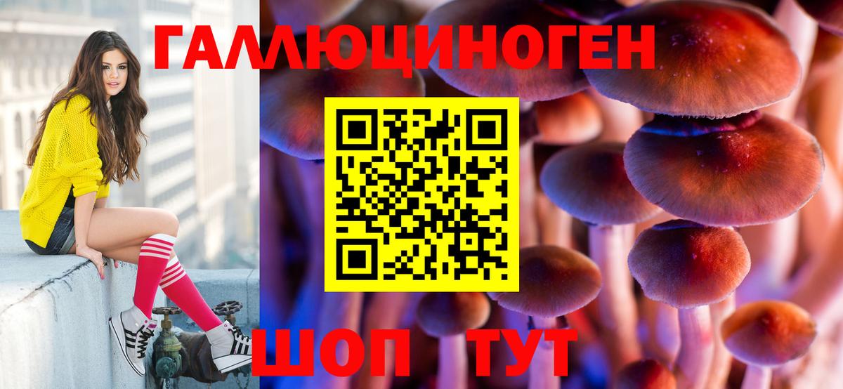 Псилоцибиновые грибы MAGIC MUSHROOMS  Галлюциногенные грибы Psilocybine cubensis  Вход с VPN  Еманжелинск 